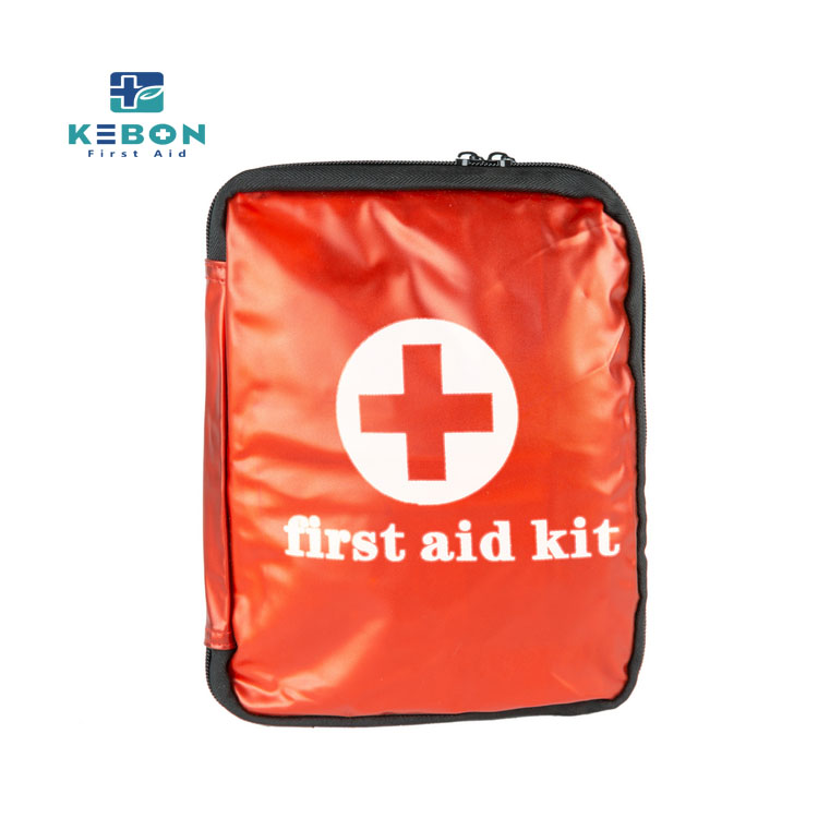 Travel Safety Kit